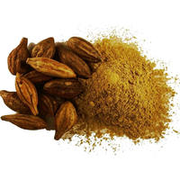 Fijnmazig 100% natuurlijk Haritaki poeder, puur kruidenpoeder van voedingskwaliteit, Terminalia chebula poeder, rijk aan antioxidanten en mineralen
