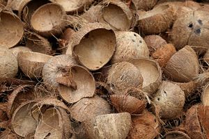Charbon de noix de coco brut en gros, charbon naturel de qualité supérieure provenant d'un fabricant vietnamien - Product Image 2