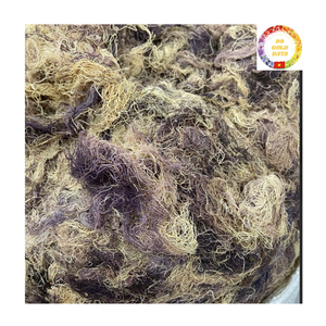 Musgo Marino a Granel |   Algas Marinas Naturales Silvestres |   Musgo Irlandés Seco |   Proveedor Mayorista Vietnam - Product Image 5