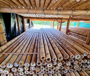 เสาไม้ไผ่ทาสี 100% ราคาถูก |   เสาไม้ไผ่แบบยืดหยุ่น ความยาว 2-20 เมตร สำหรับงานสั่งทำพิเศษ Eco2go เวียดนาม - Product Image 1