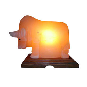 Lampe en sel rose de l'Himalaya, design moderne, résistante au feu, pour salon et cuisine - Product Image 1