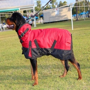 Vêtements de luxe matelassés en polyester pour chiens, veste pour chien, tapis classique en polyester de luxe pour chien, vente chaude, Kanpur - Product Image 5