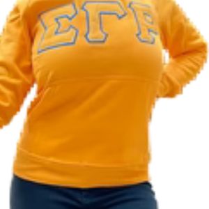 Sigma Gamma Rho Gold <b>Hoodie</b> SGRho Premium Blue Gold Greek Apparel Stylish Sorority Sweatshirt - Product Image 3