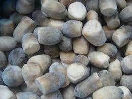 เห็ดฟางแช่แข็งป่าบรรจุกระป๋อง - Product Image 5