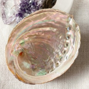 Large <b>abalone</b> <b>shells</b> for smudging competitive price natural ocean <b>shell</b> high quality seashell - Product Image 2