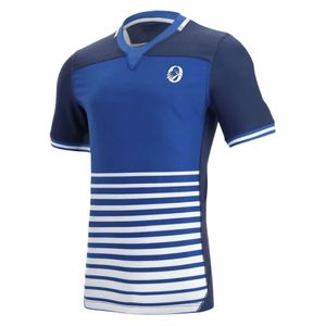 Maillot de rugby rayé bleu et blanc à manches courtes, uniforme d'équipe, tenue de sport décontractée, motif imprimé, entraînement et match - Product Image 1