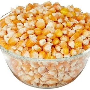 Maíz Amarillo Orgánico Seco de Primera Calidad, Granos Frescos 100% Puros y Naturales para Alimentación de Ganado, Sin OMG, Limpios, Empaque Personalizado - Product Image 1