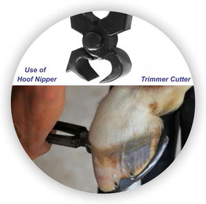Cortador de Pezuñas Profesional para Herradores, Acero Inoxidable de Primera Calidad, Herramientas de Cuidado de Pezuñas para Gatos y Cabras, Precisión ANAAIF - Product Image 6