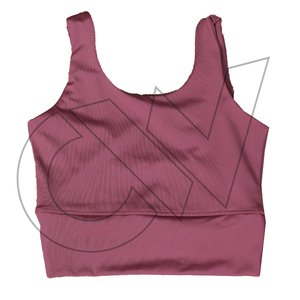 New Fashion High Quality <b>Plus</b> <b>Size</b> Women's Plum Color Sports Bra High Support Cross Back Design Breathable Four-Way Front - Product Image 2