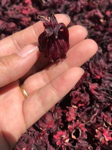 TÉ DE HIBISCO MÁS VENDIDO, Calidad Premium para Preparar Bebidas y Apoyar la Desintoxicación, a Base de Plantas, Uso Seguro - Product Image 5