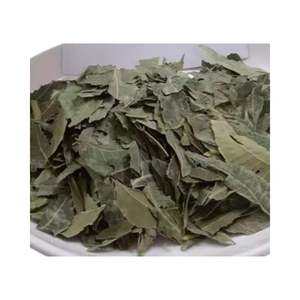 Hojas Secas de Neem Orgánico de Alta Pureza, Material Vegetal Herbal de Azadirachta Indica para la Fabricación de Extractos Vegetales y el Cuidado de la Salud - Product Image 5