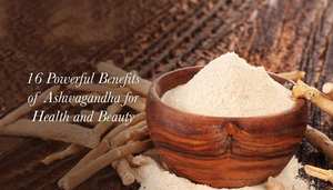 Poudre d'extrait de racine d'ashwagandha pure biologique Terra Bio Naturals, durée de conservation de 2 ans, fabriqué en Inde pour la consommation humaine - Product Image 5