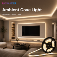 Bande LED COB haute densité 480 LED/m DC24V 10W CRI 90 4000K sans points, flexible, vente en gros pour la décoration intérieure
