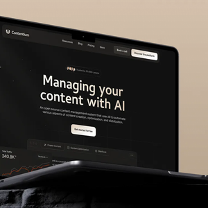 บริษัทพัฒนาเว็บไซต์ CMS ในอินเดีย - Protolabz EServices - Product Image 4