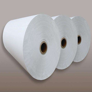 Tissu non tissé KOSITE 15-30 g/m² 43/44 pouces Spunbond 100% polypropylène pour couverture agricole et usage extérieur - Product Image 1