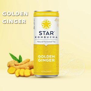 Bebida de Kombucha de Jengibre Dorado en Oferta, 250 ml, Marca Star Kombucha, Bebida de Té Fermentado, Precio Competitivo, Exportación al por Mayor - Product Image 2