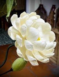 Mejor Precio Hojas de Maíz Secas, Materia Prima Agrícola de Hojas de Maíz para Compostaje y Cama para Animales, Exportación - Product Image 6