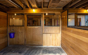 Divisor de Baño para Caballos Renix RV-51 de Acero Inoxidable - Uso Veterinario para Hospitales de Perros y Animales Grandes, Reutilizable y Seguro, Fácil de Operar - Product Image 3