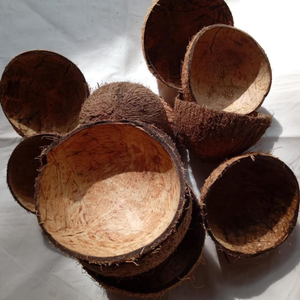 Coques de noix de coco concassées de qualité industrielle A, super absorbantes, charbon actif, fabrication en vrac, Tamil Nadu - Product Image 4