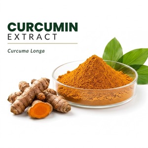 ผงสารสกัดเคอร์คูมิน (Curcuma Longa) 95% เคอร์คูมิโนอิดส์ เกรดอาหาร สารสกัดสมุนไพร สกัดด้วยตัวทำละลาย สำหรับอาหารเสริมสุขภาพ - Product Image 1