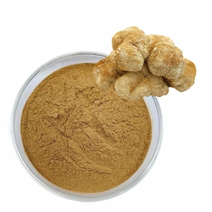 Suministro a Granel de Polvo de Melena de León de Grado Alimenticio, 100% Puro y Natural, Superalimento de Melena de León para la Salud Cerebral, la Concentración y la Memoria - Product Image 1