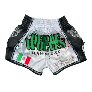 Shorts de Artes Marciales Mixtas (MMA), Kick Boxing y Muay Thai, Personalizables al por Mayor, Duraderos, Transpirables y Elásticos, con Posición para Logotipo Frontal - Product Image 1