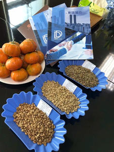 HANCOFFEE 2026 NUEVA Cosecha Vietnam Café Robusta Crudo - Varios Procesos - Empacado en Bolsas de 60 kg/PP/Yute - Muestra Gratis - Product Image 5