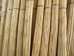 Wholesale Bamboo <b>Pole</b> Natural Bamboo Material <b>for</b> DIY Craft Furniture <b>Garden</b> and Construction Vietnam Factory - Product Image 5