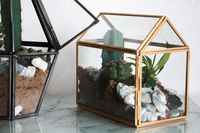 Terrarium géométrique en verre avec cadre doré, offre spéciale, prix de gros, prisme en verre, planteur métallique