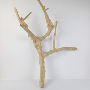Rama de madera natural para pajaritos, adorno duradero para mascotas, hecho en Vietnam - Product Image 2