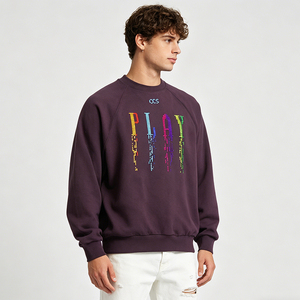 Sweat-shirt unisexe à col rond coupe classique Hawk Eye, en coton molletonné français 370g, écologique, anti-boulochage, pour l'hiver, style décontracté - Product Image 1