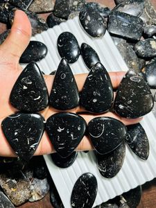 Cabujones de Jaspe Turritella de Alta Calidad, Formas Mixtas, Piedra Natural 100%, Marca ASHU GEMS, Origen Rajasthan, para Joyería - Product Image 3