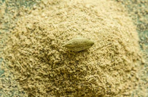 Poudre de cardamome verte naturelle de qualité supérieure, moutonnée finement, épice Elaichi, haute pureté, goût frais, pour la vente en gros - Product Image 3