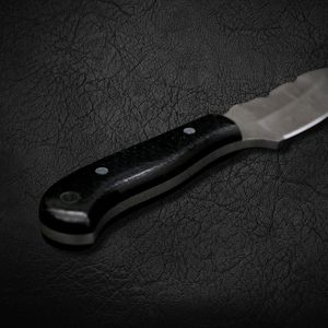 High Quality DIY Mini Handmade Damascus Steel Wood Handle <b>Kitchen</b> <b>Knife</b> Skimmer OBM Customizable Stock - Product Image 6