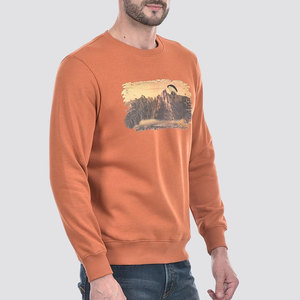 Sudadera de moda nueva para hombre, talla grande, color personalizable, nuevo estilo, sudadera para hombre, venta en línea - Product Image 2