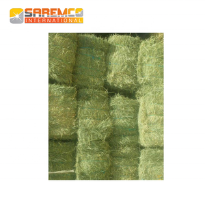 หญ้าแห้งแบบย่อยสลายได้ง่ายสำหรับม้าโคเลี้ยงปศุสัตว์หญ้าสีเขียวอุดมไปด้วยสารอาหารดูแลปศุสัตว์คุณภาพพรีเมี่ยม - Product Image 5