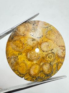 K Gems Cadran en Corail Naturel à Motif Unique et Inclusions, 31,50 mm, Plat, Épaisseur 0,90 mm, Pierre Libre pour la Fabrication de Montres, Classique et Élégant - Product Image 3