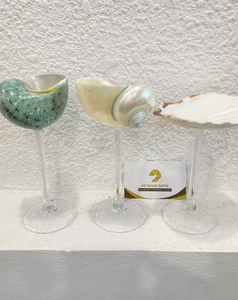 Tazón de Concha Marina Pulida, Tazón de Concha Natural de Primera Calidad para Joyería, Decoración del Hogar y Regalo - Product Image 1