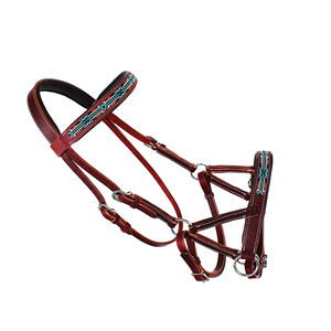 Élégante bride anglaise en cuir pour cheval, version 1, avec frontal rembourré réglable, ajustement sécurisé pour les leçons, l'équitation en club et l'entraînement. - Product Image 5