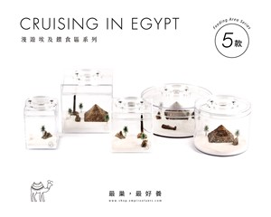 Mini-récipient rectangulaire écologique et recyclable pour fourmis, avec fermeture à bouton, pour salon, toutes saisons, en acrylique, collection Roaming Egypt - Product Image 4