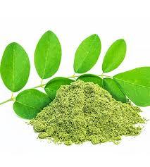 POLVO DE MORINGA DE MARCA PRIVADA, EMBALAJE OEM, BEBIDA NATURAL PARA ESTIMULAR EL SISTEMA INMUNITARIO - Product Image 6