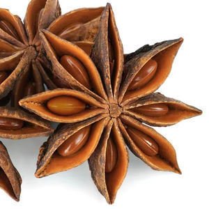 Excelente Opción: Anís Estrellado Fresco y Seco de Vietnam con la Mejor Calidad y Buen Precio al por Mayor - Product Image 1