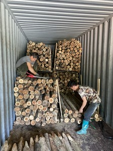 Piquets en bois d'eucalyptus et d'acacia, piquets de jardin en bois dur naturel, supports pour plantes, pour l'agriculture, l'aménagement paysager et le jardinage - Product Image 5