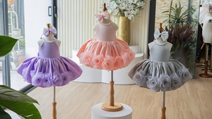 ชุดเดรสปาร์ตี้เด็กผู้หญิงแบบคอ halter จำนวน 25 ชุด พร้อมตกแต่งมุกและดอกกุหลาบ 3 มิติที่ชายกระโปรง กระโปรงบานเต็มตัว ชุดเด็กสั่งทำพิเศษ - Product Image 6