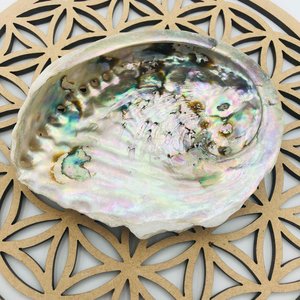 Beach decor accessories wholesale <b>abalone</b> <b>shell</b> for smudging high quality natural seashells - Product Image 6