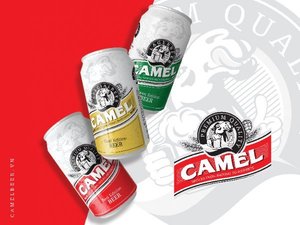 Bière Camel Premium Export Lager en canettes de 330 ml, lot de 24, fournisseur en gros, brasserie Camel Vietnam, OEM ODM, marque privée - Product Image 3