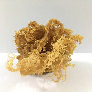 Musgo marino de Laver seco de primera calidad (sazonado y tostado) en bolsa cosechada con cuidado para obtener los máximos beneficios - Product Image 1