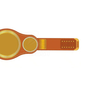 Cinturones de Campeonato con Placa Frontal Simple, Ligeros, de Cuero, Personalizables para Ganadores de Artes Marciales - Product Image 5