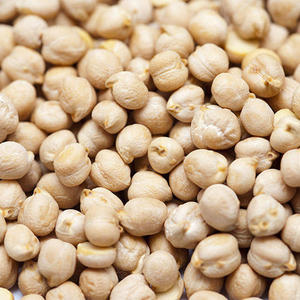 Garbanzos Kabuli de Primera Calidad, Granos Grandes Blancos, Legumbres Secas de Alta Calidad, 24 Meses de Duración, AXIS GLOBAL TRADERS - Product Image 3