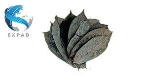 Hojas de Guanábana Secas Crudas Premium, Graviola, Material Natural para Bebidas de Té de Hierbas y Suplementos para la Salud - Product Image 1